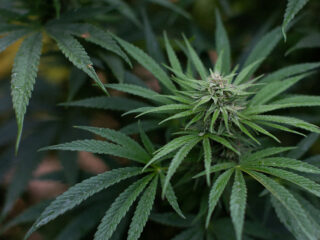 Put it Where it Hurts